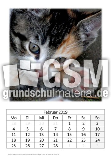 Februar_Hauskatze.pdf